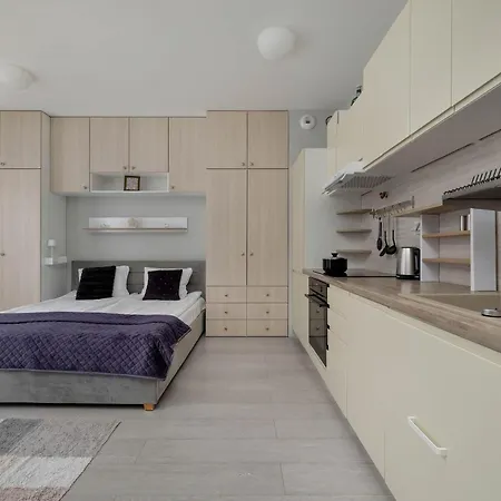 Charming With Balcony In Wroclaw's Nadodrze By Renters Breslavia